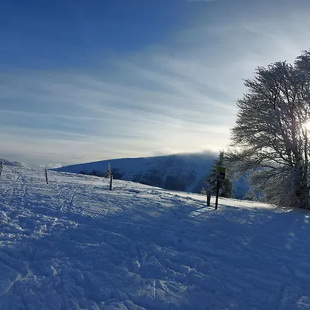 Vosgien Rénové Avec Jardin, Proche Gérardmer Et Activités De Plein Air - Fr-1-589-600 * Jussarupt