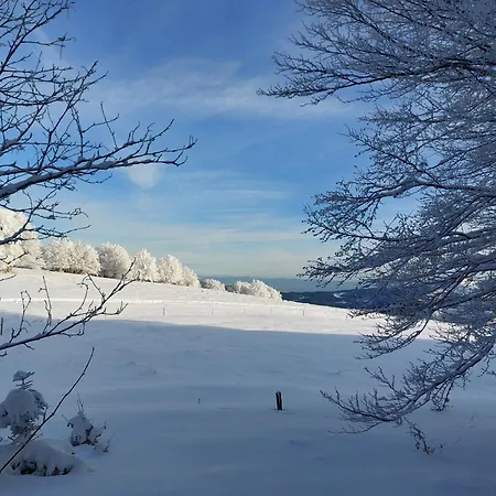 Vosgien Rénové Avec Jardin, Proche Gérardmer Et Activités De Plein Air - Fr-1-589-600 *