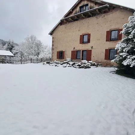 Vosgien Rénové Avec Jardin, Proche Gérardmer Et Activités De Plein Air - Fr-1-589-600 * Jussarupt