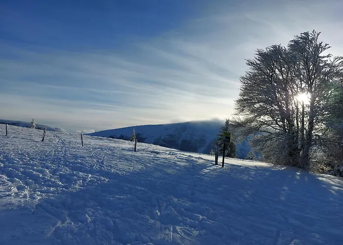 Vosgien Renove Avec Jardin, Proche Gerardmer Et Activites De Plein Air - Fr-1-589-600 * Jussarupt
