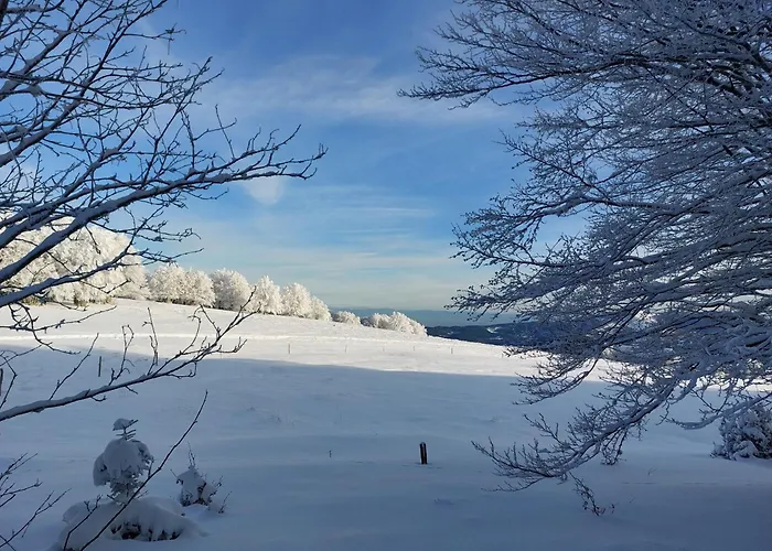 Vosgien Renove Avec Jardin, Proche Gerardmer Et Activites De Plein Air - Fr-1-589-600 *