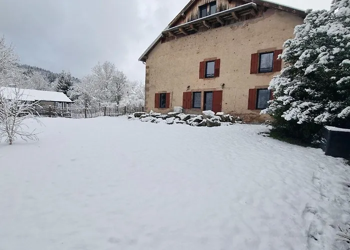 Vosgien Renove Avec Jardin, Proche Gerardmer Et Activites De Plein Air - Fr-1-589-600 * Jussarupt