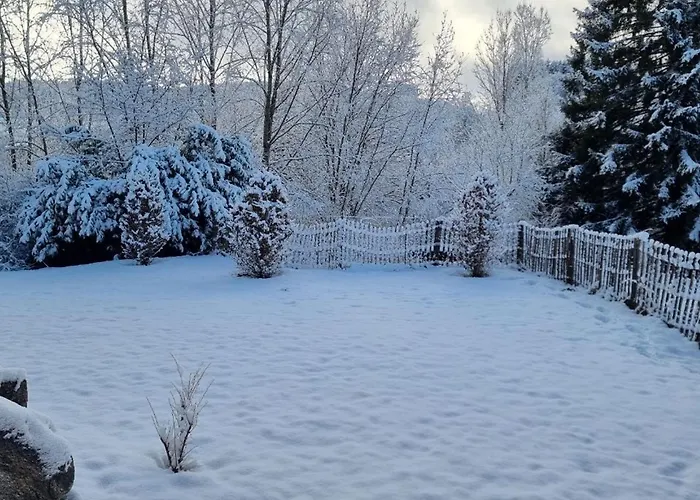 Vosgien Renove Avec Jardin, Proche Gerardmer Et Activites De Plein Air - Fr-1-589-600 Jussarupt